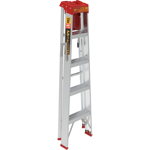 Step Ladder with Paint Tray, 5', Aluminum, 200 lbs. Capacity, Type 3 Brunswick Fyr & Safety