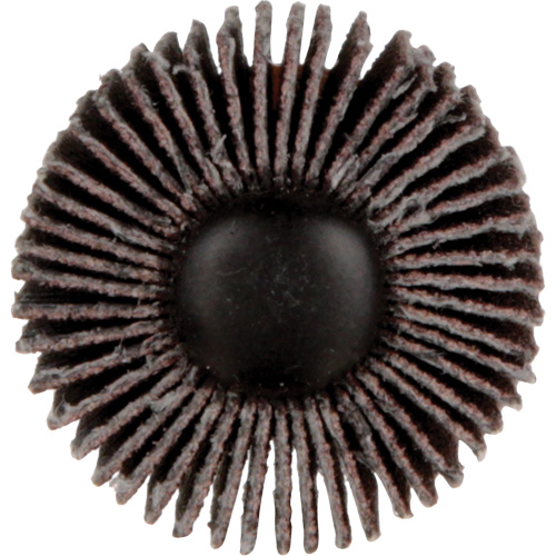 Meule &agrave; lamelles Standard Abrasives, Oxyde d'aluminium, Grain 120, 1" x 1" x 1/4" Brunswick Fyr & Safety