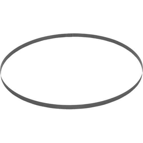 Band Saw Blade, Bi-Metal, 44-7/8" L x 1/2" W x 0.020" Thick, 14 TPI Brunswick Fyr & Safety