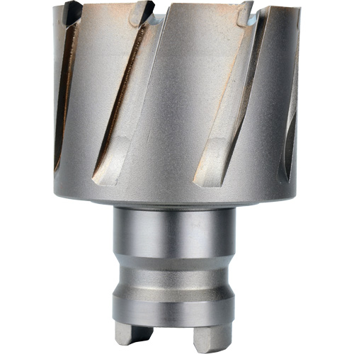 Fraise avec tenon &agrave; changement rapide Drive Hawg, Diam&egrave;tre de 2", Acier, Profondeur de la coupe de 1" Brunswick Fyr & Safety