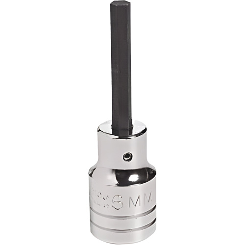 Embout &agrave; ins&eacute;rer, Hexagonale, 18 mm x 4" lo, Prise 1/2" Brunswick Fyr & Safety