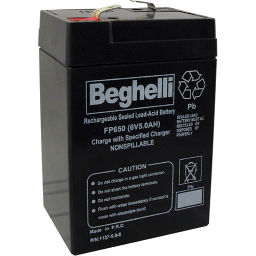 Sealed Lead Acid Batteries, 6 V, 5 Ah Brunswick Fyr & Safety