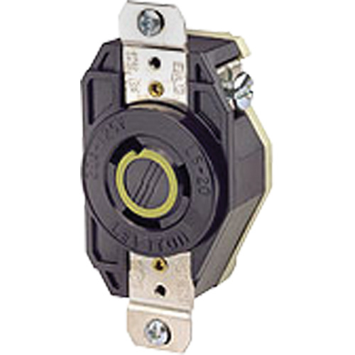 Single Flush 2-Pole 3-Wire Grounding  Receptacle Brunswick Fyr & Safety