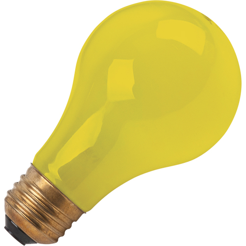 LAMPE INCANDESCENTE,BUG-LITE,60W,120V,2/PQT Brunswick Fyr & Safety
