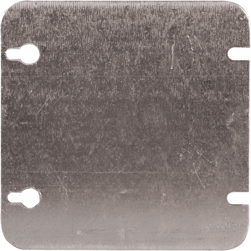 Blank Wall Plate Brunswick Fyr & Safety