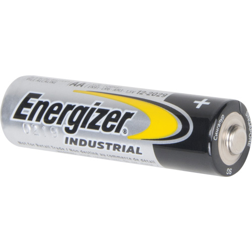Alkaline Industrial Batteries, AA, 1.5 V Brunswick Fyr & Safety