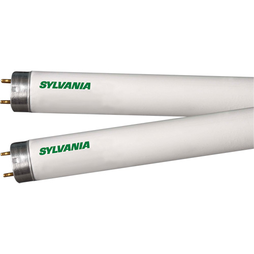 Fluorescent Lamps, 32 W, T8, 4100 K, 48" Long Brunswick Fyr & Safety