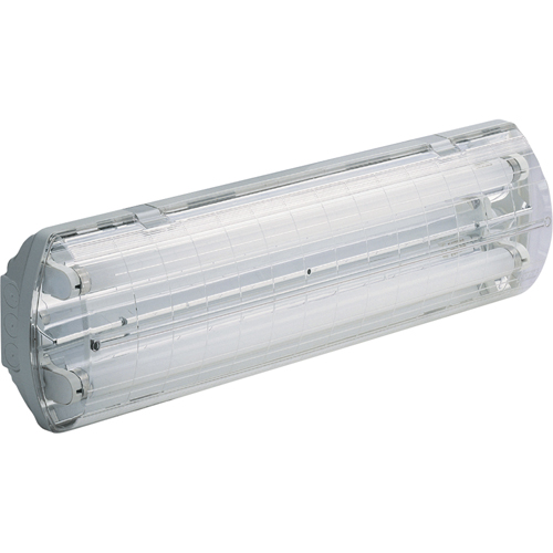 Lampes Vapor-Tight s&eacute;rie BS100 Illumina, Polycarbonate, 347 V Brunswick Fyr & Safety