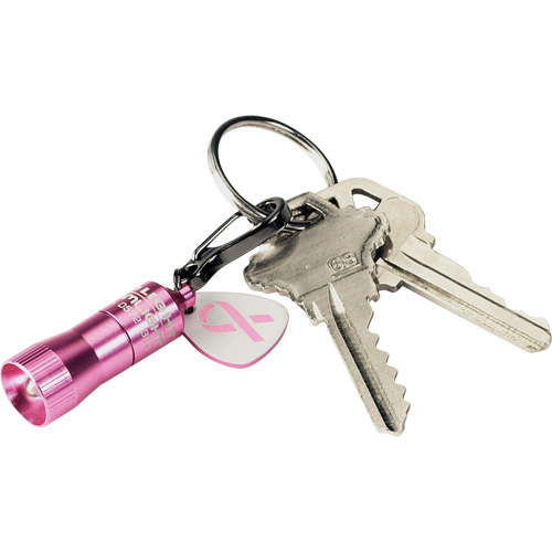 Lampes de poche Nano Light Brunswick Fyr & Safety