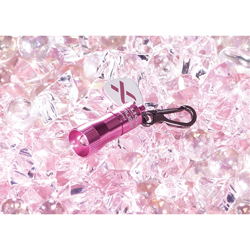 Lampes de poche Nano Light Brunswick Fyr & Safety