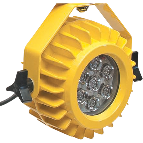Heavy-Duty LED Dock Light - Head Only Brunswick Fyr & Safety