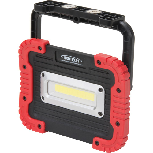 Portable Work Light, LED, 10 W, 1000 Lumens, Plastic Housing Brunswick Fyr & Safety