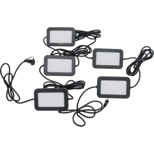 Chaîne de baladeuses DEL, 5 Lumi&egrave;res, 50' lo, Boîtier en Plastique Brunswick Fyr & Safety