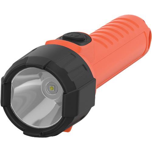 Intrinsically Safe&reg; Handheld Flashlight, LED, 150 Lumens, AA Batteries Brunswick Fyr & Safety