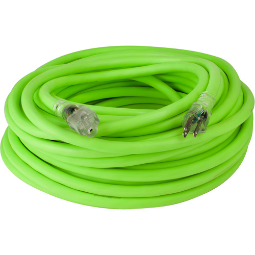 Cordon rallonge industriel Flexzilla Pro, Toutes saisons, SJTW, AWG 10/3, 15 A, 100' Brunswick Fyr & Safety