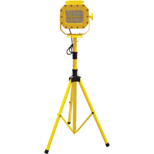 Explosion Proof Floodlight with Tripod, LED, 40 W, 5600 Lumens, Aluminum Housing Brunswick Fyr & Safety