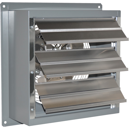 Ventilateur d'&eacute;chappement standard SD Brunswick Fyr & Safety