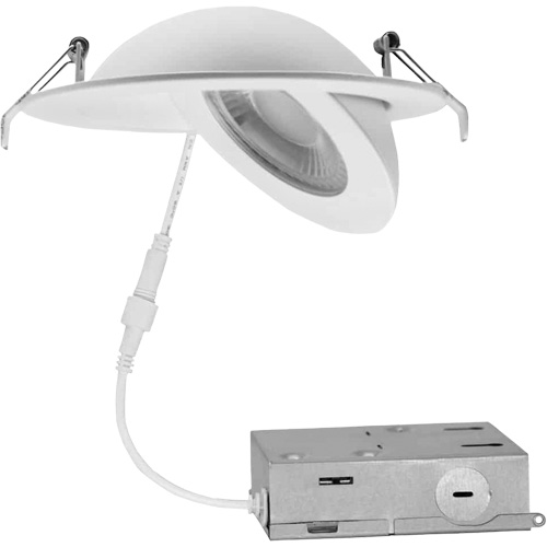 Gimbal Light Fixture, LED, 120 V, 9 W Brunswick Fyr & Safety
