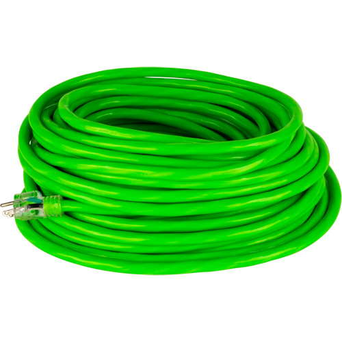 Industrial Extension Cord, All-Weather, SJTW, 10/3 AWG, 15 A, 50' Brunswick Fyr & Safety