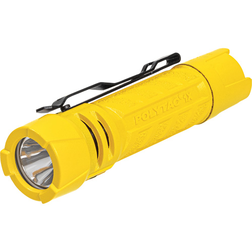 Lampe de poche PolyTac 1X, DEL, 350 lumens, Piles AA/CR123A Brunswick Fyr & Safety