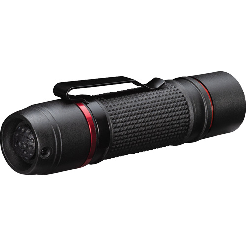 Lampe de poche &agrave; deux modes d'optique PX9, DEL, 750 lumens, Piles AAA Brunswick Fyr & Safety