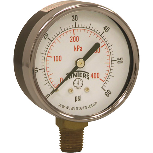Economy Pressure Gauge, 2-1/2" , 0 - 60 psi, Bottom Mount, Analogue Brunswick Fyr & Safety