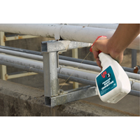 Inhibiteurs de rouille de qualit&eacute; 3, Bouteille &agrave; g&acirc;chette Brunswick Fyr & Safety