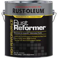 High-Performance 3575 System Rust-Reformer<sup>®</sup>, Gallon AH014 | Brunswick Fyr & Safety