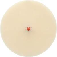 Disque Scotch-Brite 7502 pour retrait de colle et de bandes de moulage, 6" dia. Brunswick Fyr & Safety
