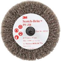 Disque de tronçonnage et de polissage Scotch-Brite Roloc, Oxyde d'aluminium, Grain Moyen, 3" x 1-3/8" x 1/4" Brunswick Fyr & Safety