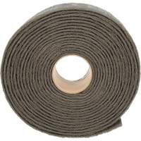 Ruban de nettoyage et de finition Scotch-Brite, Tr&egrave;s fin, 4" la x 30' lo Brunswick Fyr & Safety