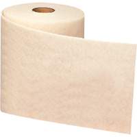 Ruban de nettoyage et de finition Scotch-Brite, Tr&egrave;s fin, Oxyde d'aluminium, 4" la x 30' lo Brunswick Fyr & Safety