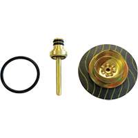 Filter/Regulator - Relieving Diaphragm & Valve Assembly Brunswick Fyr & Safety