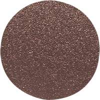 Wood Sanding Disc, 12" Dia., 60 Grit Brunswick Fyr & Safety