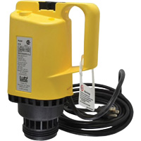 Drum Pump Motor Brunswick Fyr & Safety