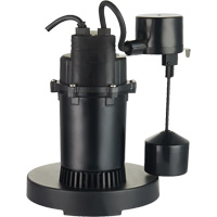 Thermoplastic Submersible Sump Pump, 2560 GPH, 115 V, 4.6 A, 1/3 HP Brunswick Fyr & Safety