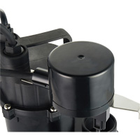 Thermoplastic Submersible Sump Pump, 2560 GPH, 115 V, 4.6 A, 1/3 HP Brunswick Fyr & Safety