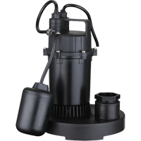 Thermoplastic Submersible Sump Pump, 2560 GPH, 115 V, 4.6 A, 1/3 HP Brunswick Fyr & Safety
