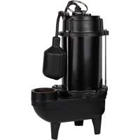 Cast Iron Effluent Pump, 4800 GPH, 120 V, 7.8 A, 1/2 HP Brunswick Fyr & Safety