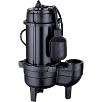 Pompe d'égout en fonte, 120 V, 9,5 A, 6000 gal./h, 1/2 CV DC850 | Brunswick Fyr & Safety