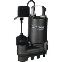 Cast Iron Submersible Sump Pump with Vertical Float Switch, 67 GPM, 33 V, 5 A, 1/3 HP DC863 | Brunswick Fyr & Safety
