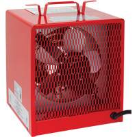 Radiateur, Entrepreneur, &eacute;lectrique, 19100 BTU/H Brunswick Fyr & Safety