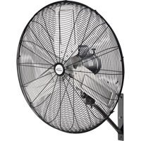 Ventilateur mural oscillant, Industriel, 2 vitesses, Diam&egrave;tre de 30" Brunswick Fyr & Safety