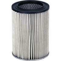 Filtre sec/humide pour aspirateur datelier Ridgid, Cartouche Brunswick Fyr & Safety