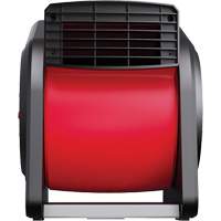 Souffleur d'air Brunswick Fyr & Safety