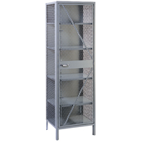 Wire Mesh Cabinet, Steel, 4 Shelves, 78" H x 24" W x 21" D, Grey FB015 | Brunswick Fyr & Safety