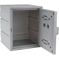 Locker, 15" x 15" x 18", Grey, Assembled FC689 | Brunswick Fyr & Safety