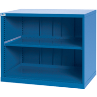 Shelf Cabinets, Steel, 33-1/2" H x 40-1/4" W x 22-1/2" D, Bright blue Brunswick Fyr & Safety