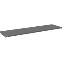 Tablette pour armoire, 59-3/4" x 16-3/8", Capacit&eacute; de 500 lb, Gris Brunswick Fyr & Safety
