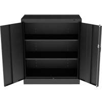 Standard Counter-High Cabinet, Steel, 2 Shelves, 42" H x 36" W x 18" D, Black FL777 | Brunswick Fyr & Safety